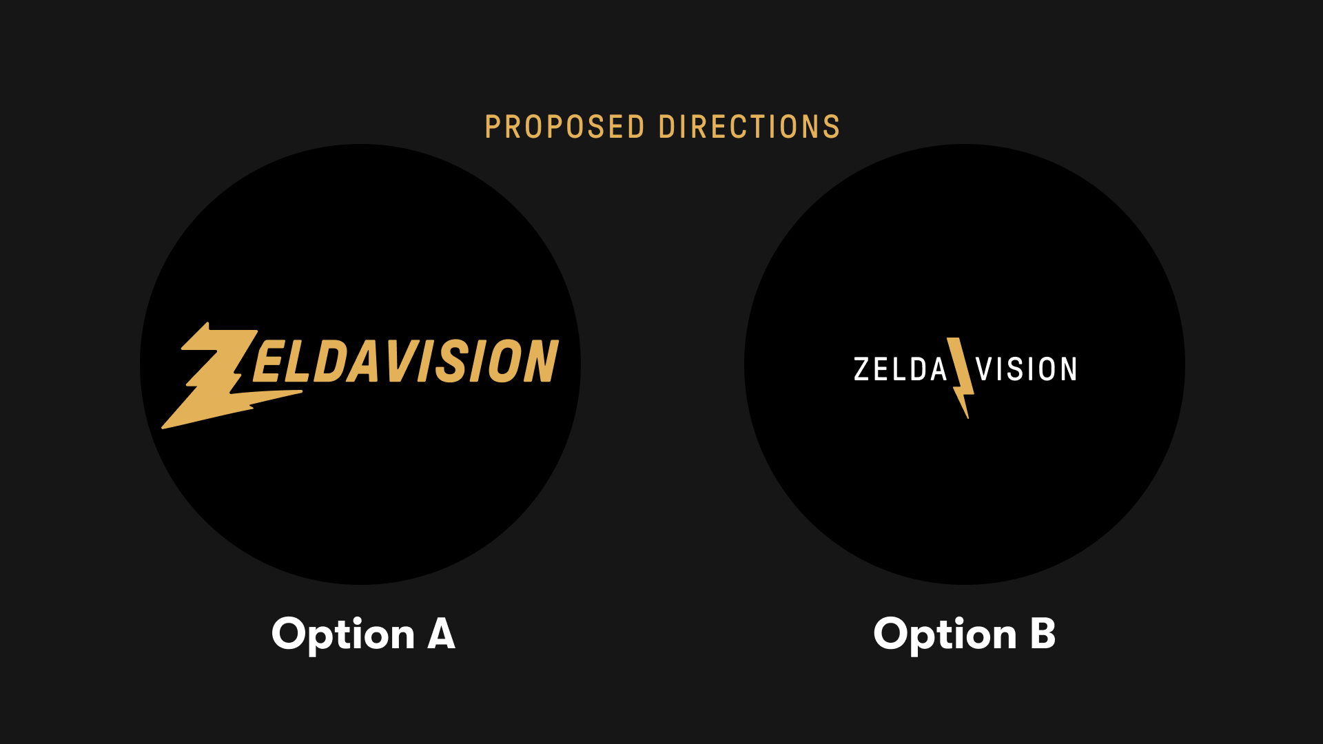 ZV-Presentations-Logo-options